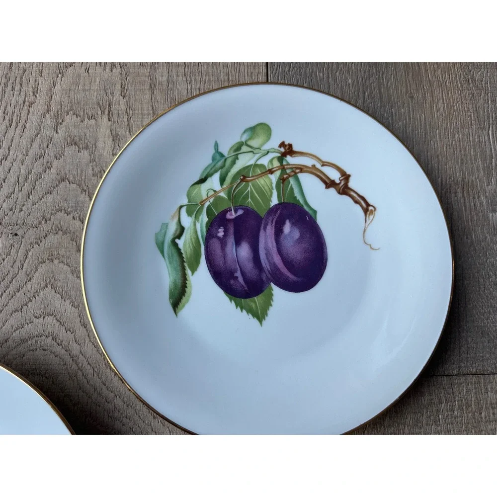 Hutschenreuther Selb Pasco Germany‎ Fruit Chop Plate 13.5